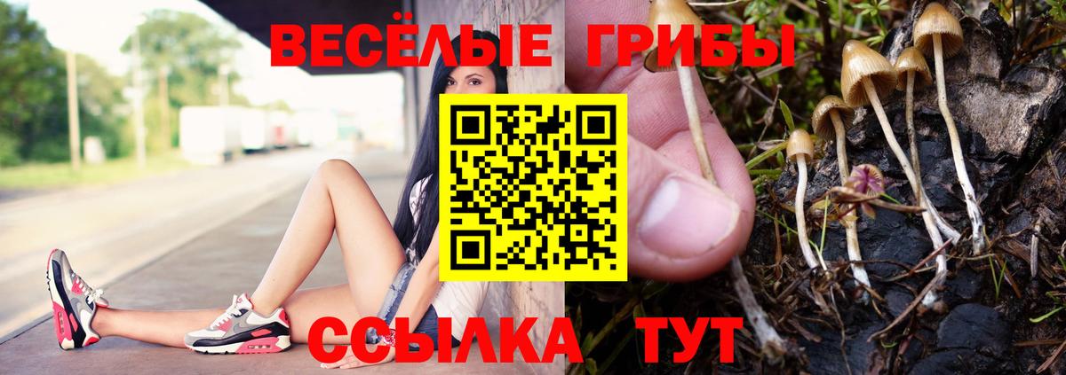 Кимовск  Галлюциногенные грибы GOLDEN TEACHER  Вход с VPN 